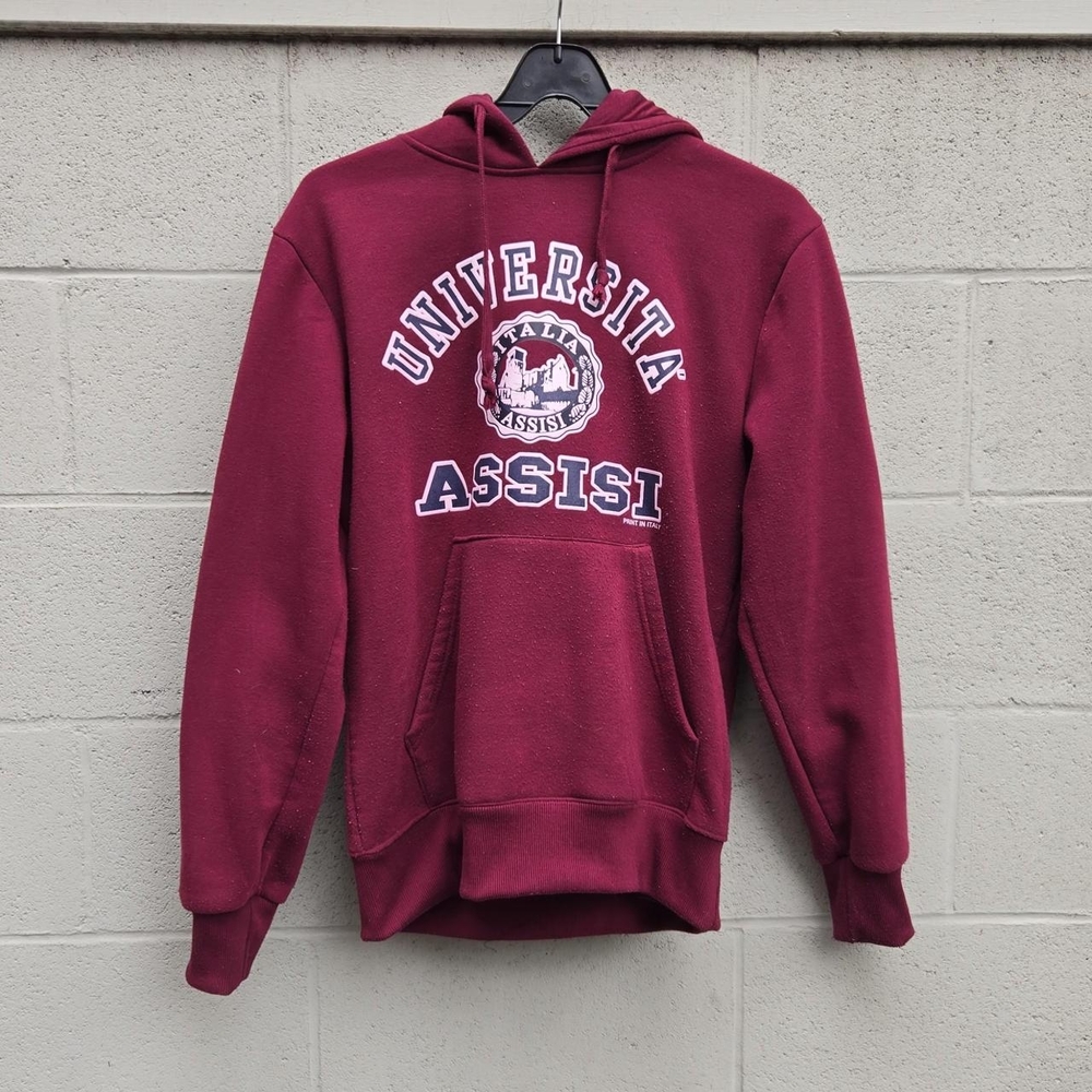 University of Assisi Hoodie